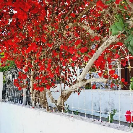 Arrabida Cozy House Villa Palmela Exterior photo