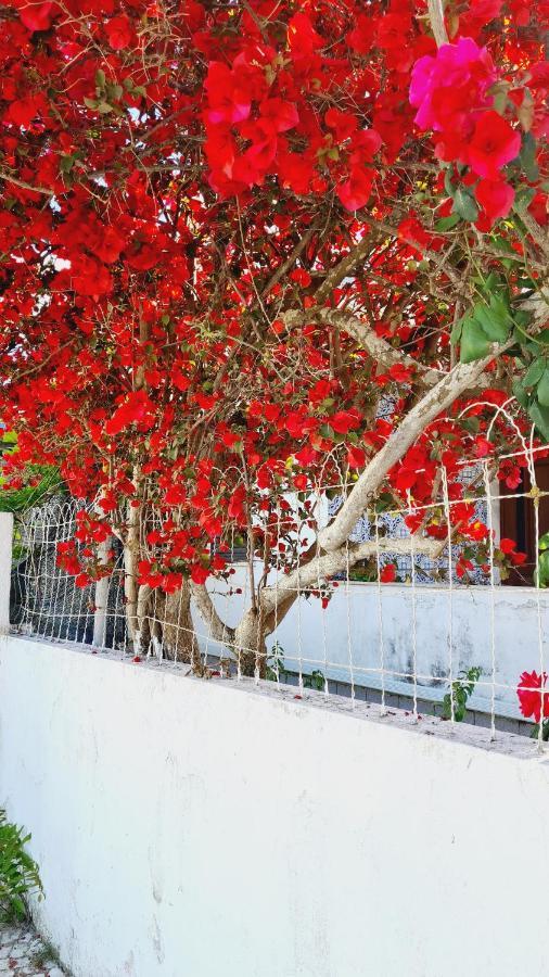 Arrabida Cozy House